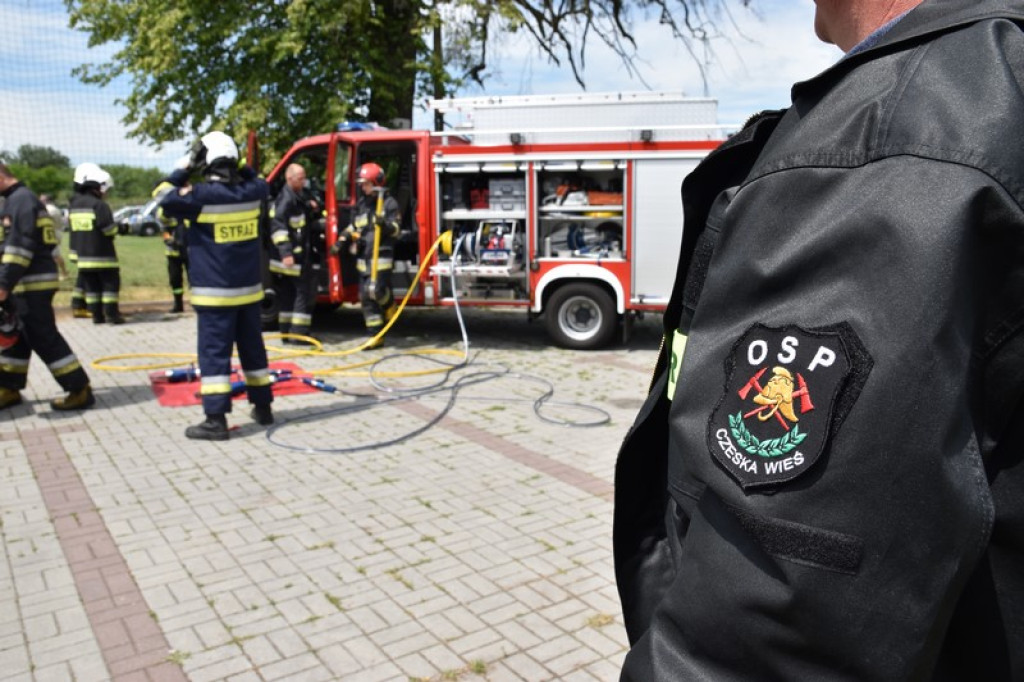 Festyn charytatywny w Łosiowie. Wolontariusze zbierają na elektryczny wózek dla Joasi [zdjęcia]