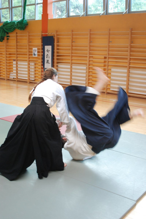 Herve Guenard poprowadził seminarium aikido w Brzegu