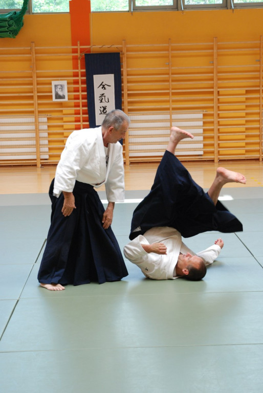 Herve Guenard poprowadził seminarium aikido w Brzegu