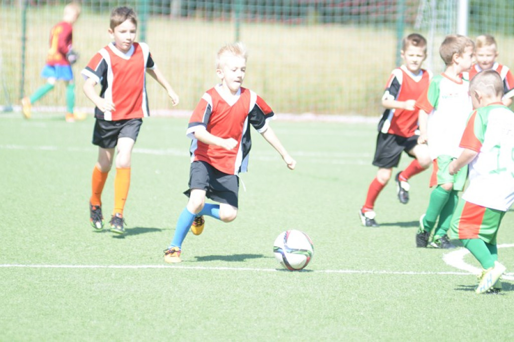 Rodzinny piknik w Grodkowie 