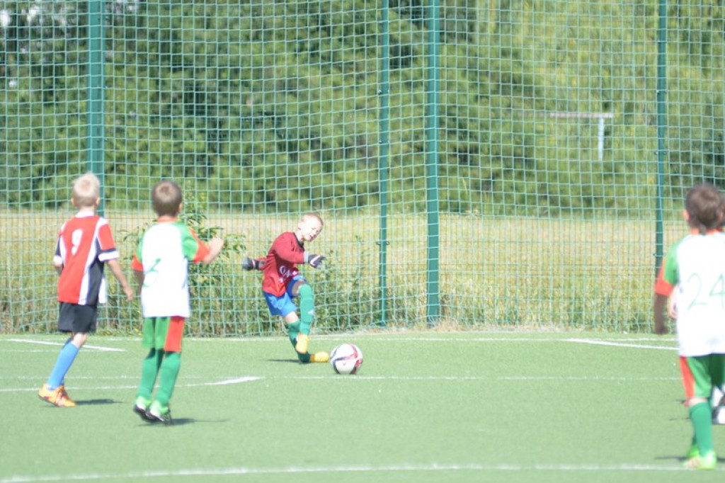 Rodzinny piknik w Grodkowie 