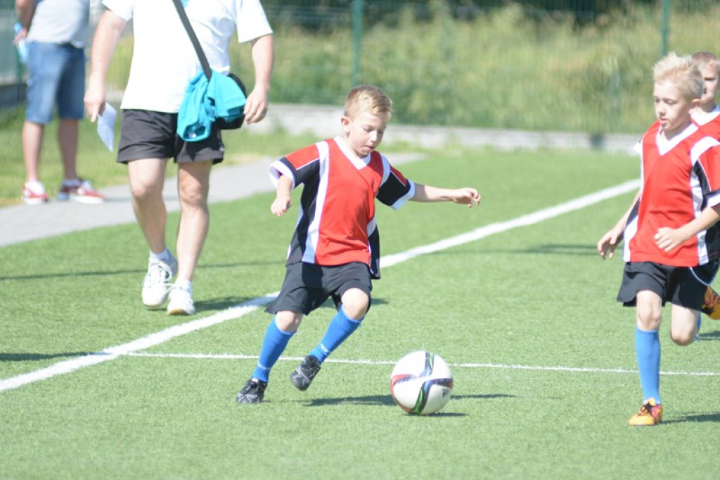 Rodzinny piknik w Grodkowie 