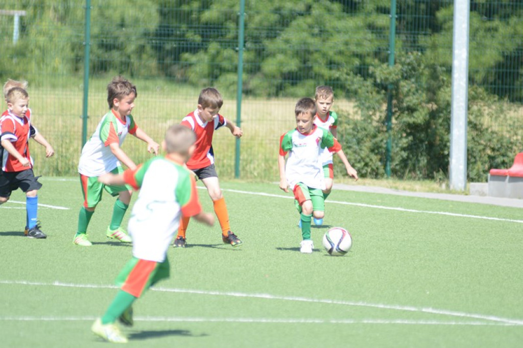 Rodzinny piknik w Grodkowie 