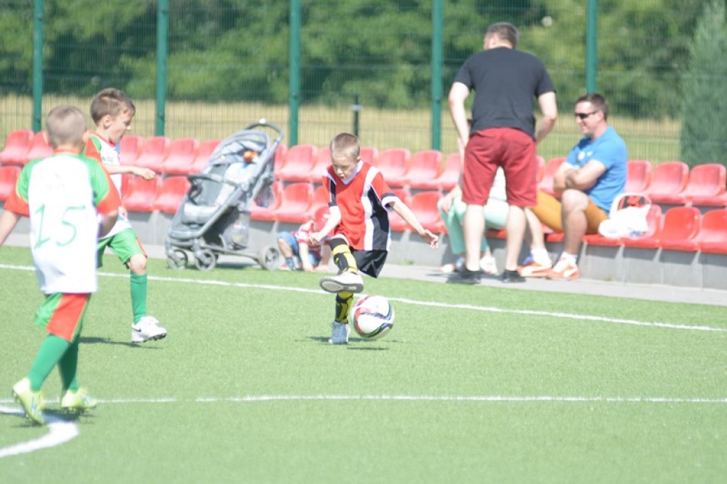 Rodzinny piknik w Grodkowie 