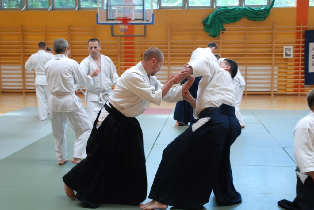 Herve Guenard poprowadził seminarium aikido w Brzegu