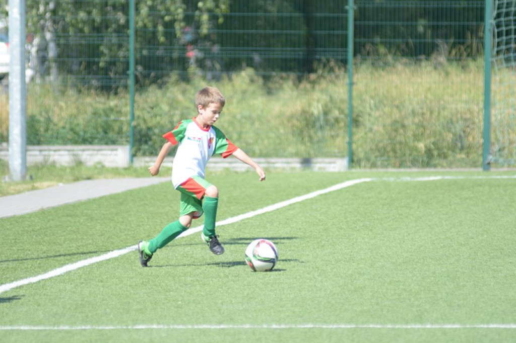 Rodzinny piknik w Grodkowie 