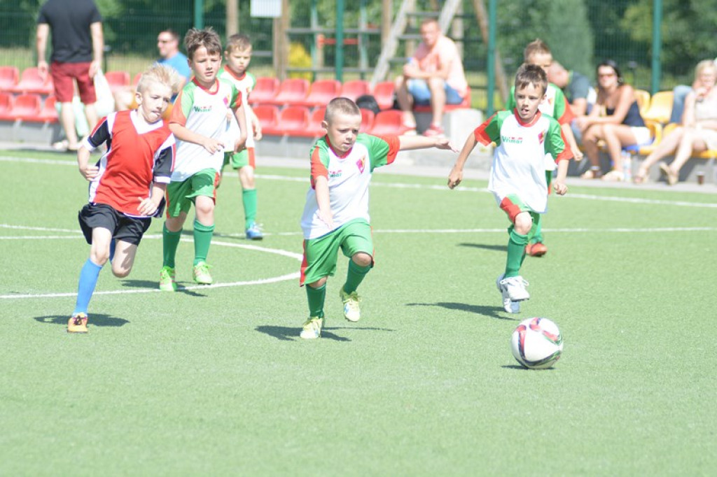 Rodzinny piknik w Grodkowie 