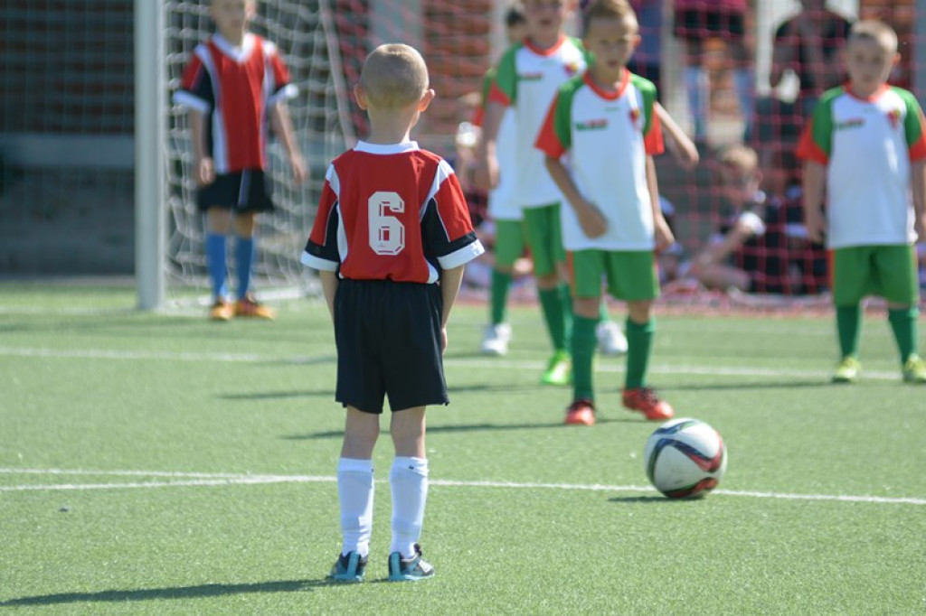 Rodzinny piknik w Grodkowie 