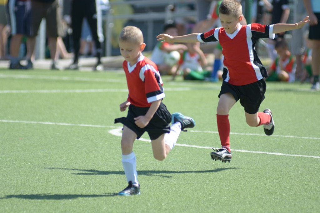 Rodzinny piknik w Grodkowie 