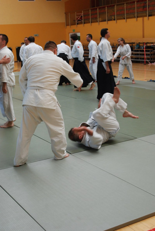 Herve Guenard poprowadził seminarium aikido w Brzegu