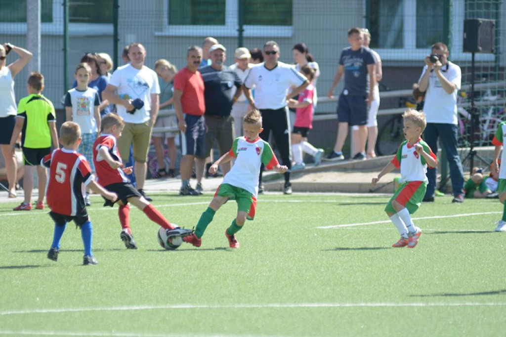 Rodzinny piknik w Grodkowie 