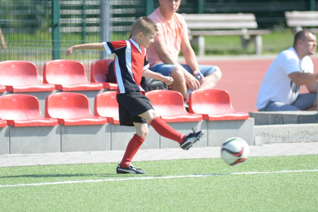 Rodzinny piknik w Grodkowie 