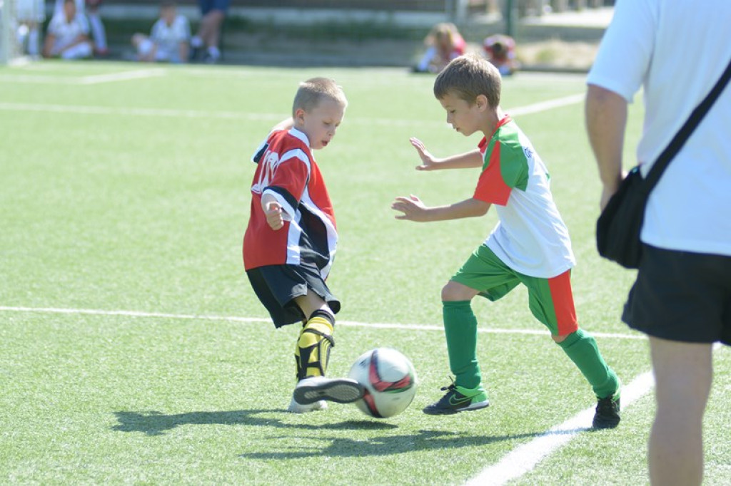 Rodzinny piknik w Grodkowie 