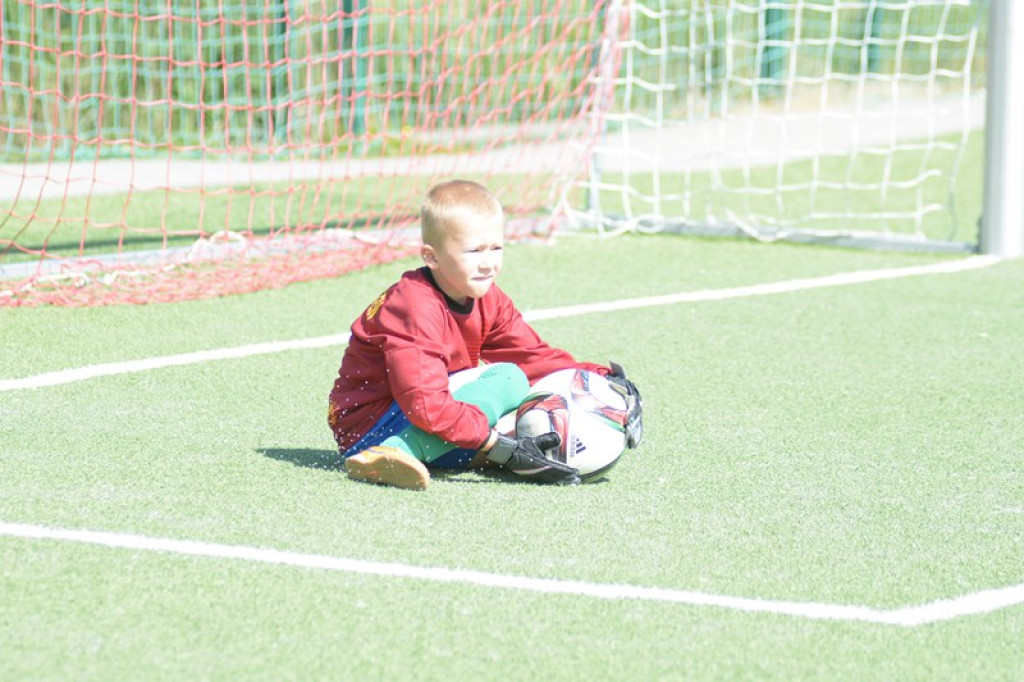 Rodzinny piknik w Grodkowie 