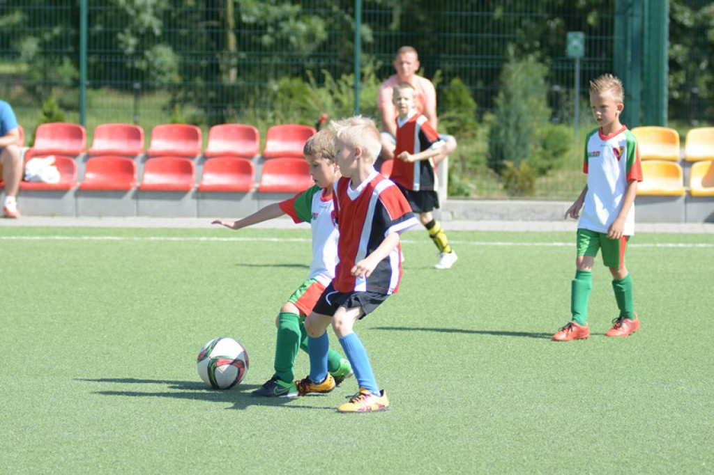 Rodzinny piknik w Grodkowie 