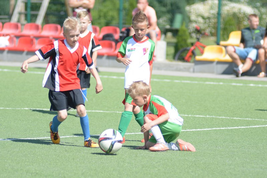 Rodzinny piknik w Grodkowie 