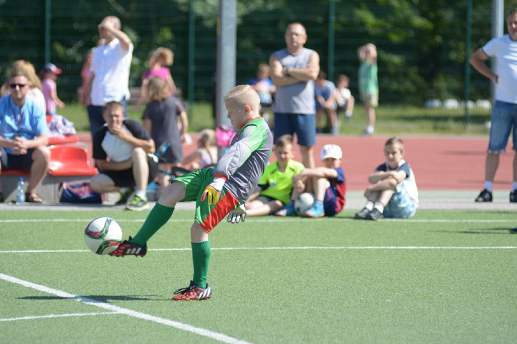 Rodzinny piknik w Grodkowie 