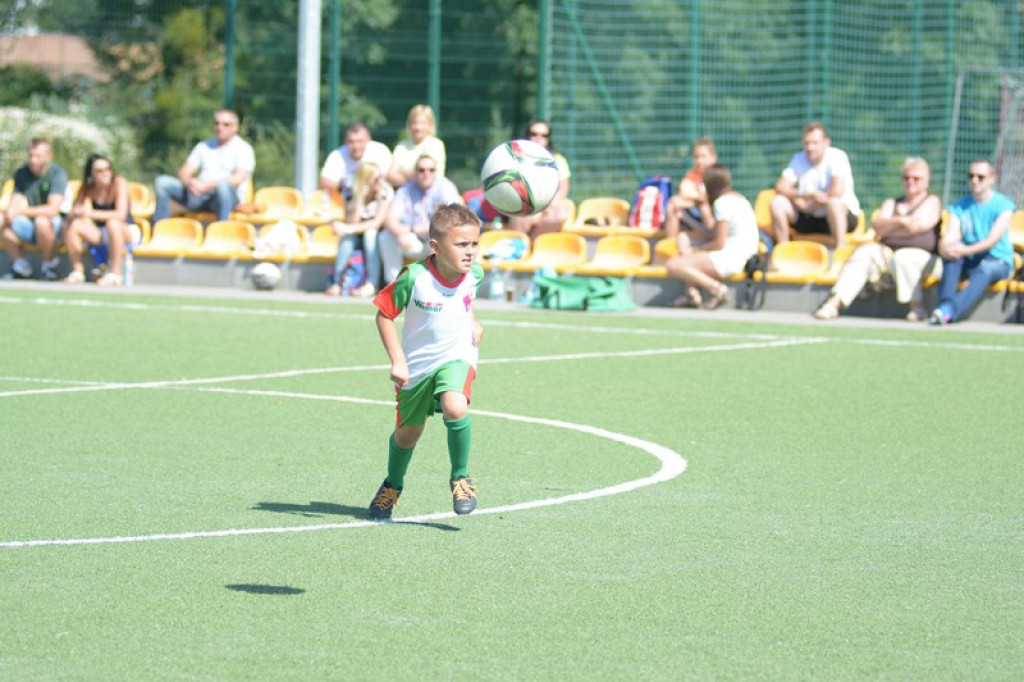 Rodzinny piknik w Grodkowie 