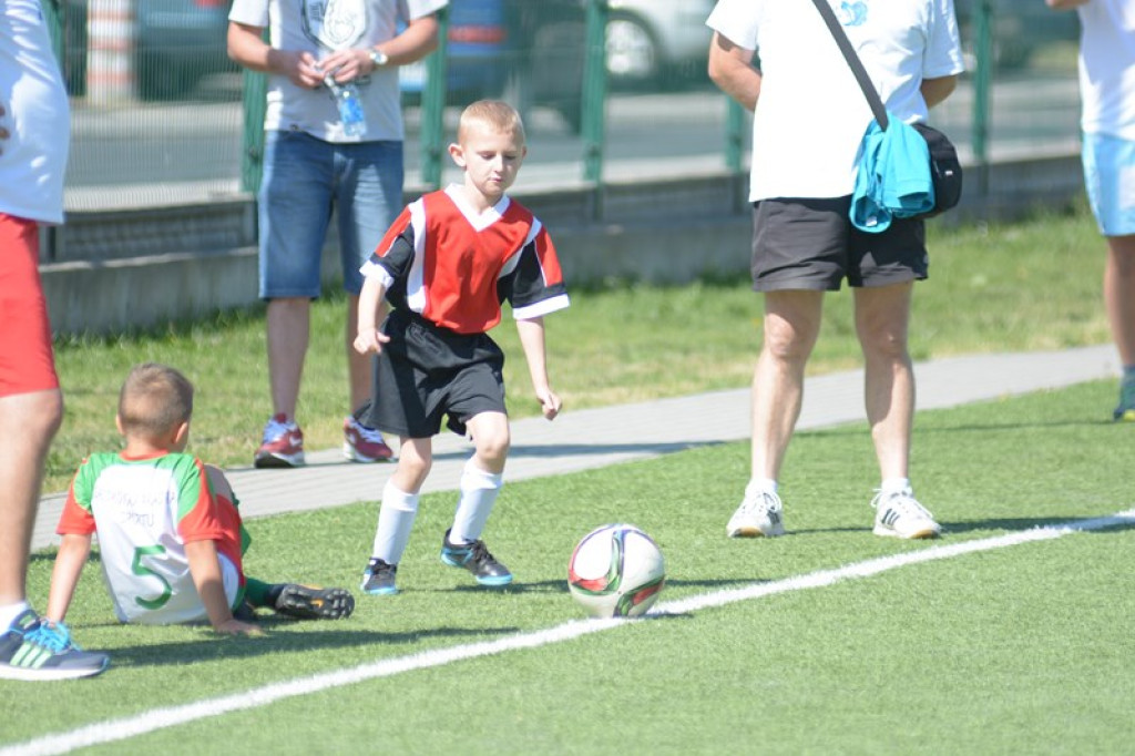 Rodzinny piknik w Grodkowie 