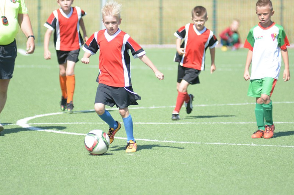 Rodzinny piknik w Grodkowie 