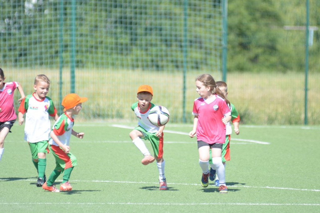 Rodzinny piknik w Grodkowie 