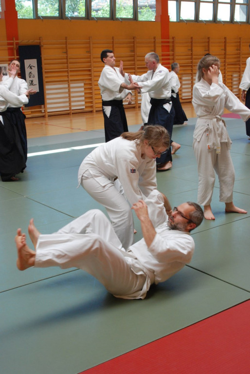 Herve Guenard poprowadził seminarium aikido w Brzegu