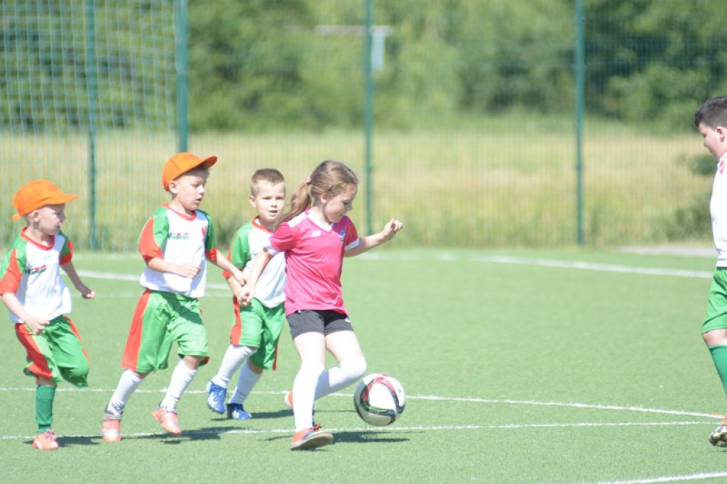 Rodzinny piknik w Grodkowie 