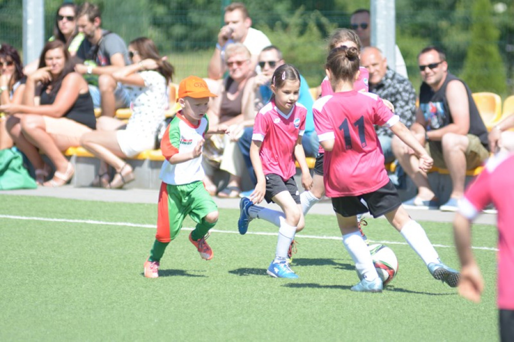 Rodzinny piknik w Grodkowie 