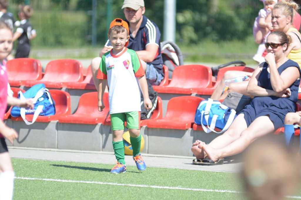 Rodzinny piknik w Grodkowie 