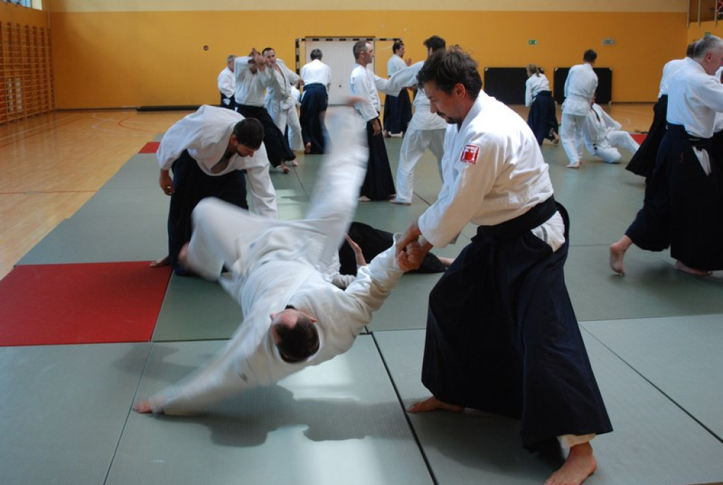 Herve Guenard poprowadził seminarium aikido w Brzegu