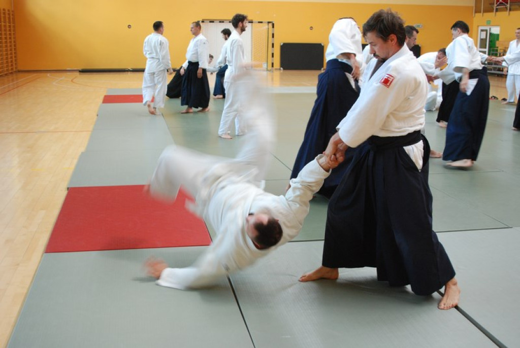 Herve Guenard poprowadził seminarium aikido w Brzegu