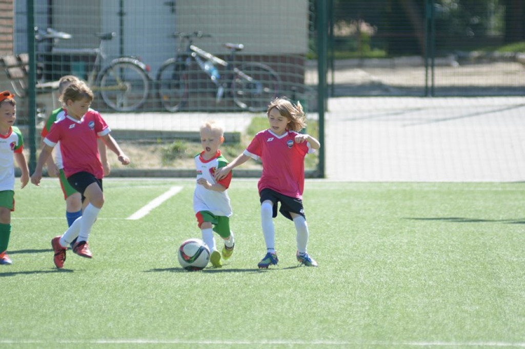 Rodzinny piknik w Grodkowie 