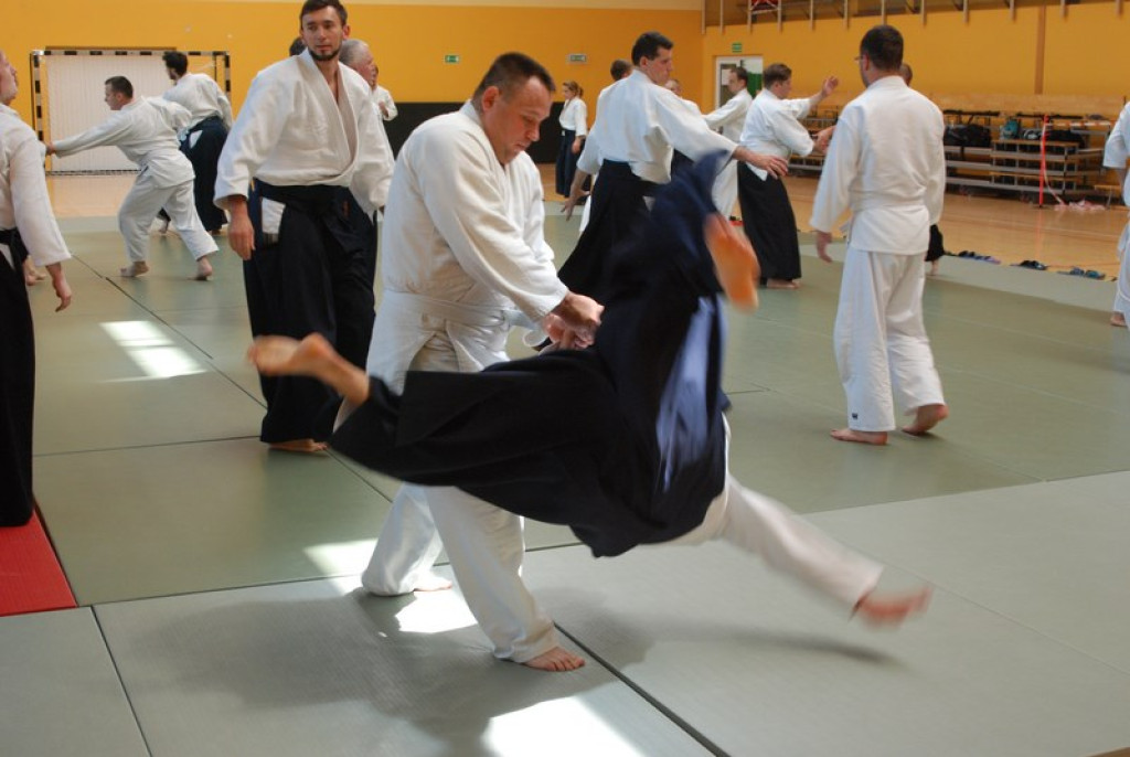 Herve Guenard poprowadził seminarium aikido w Brzegu