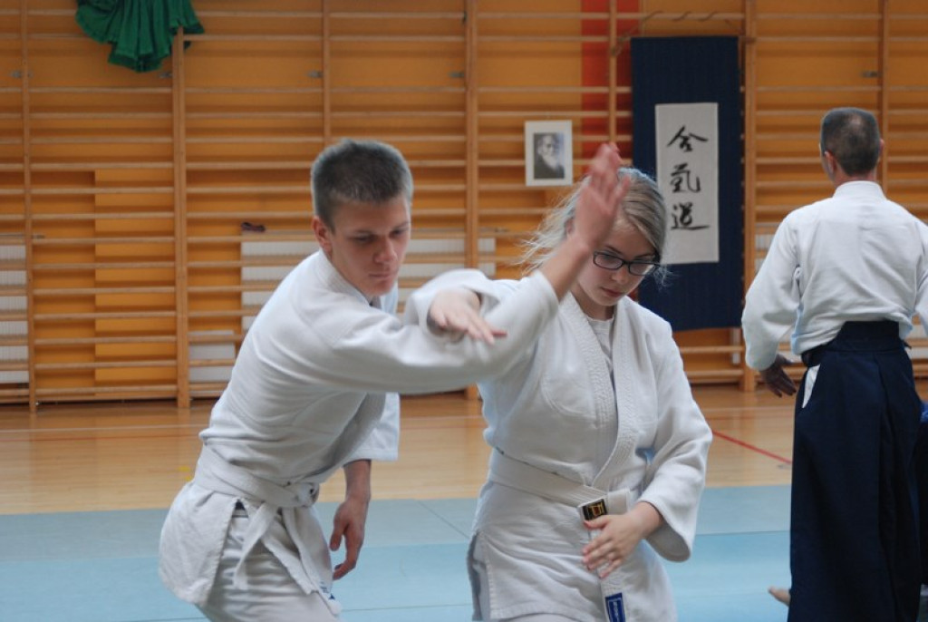 Herve Guenard poprowadził seminarium aikido w Brzegu