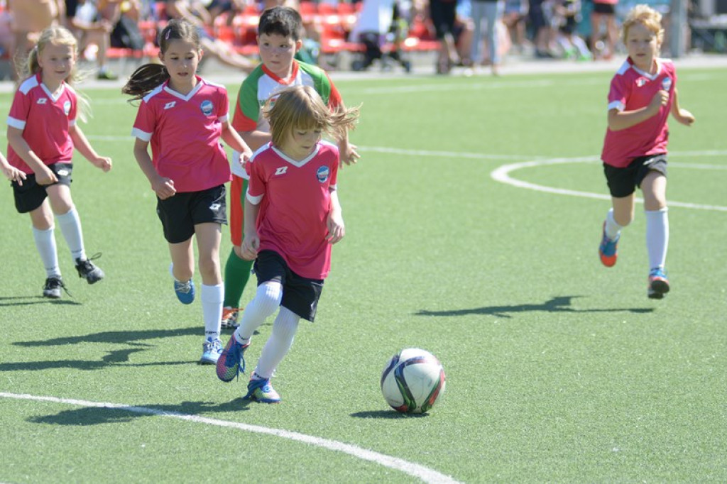 Rodzinny piknik w Grodkowie 