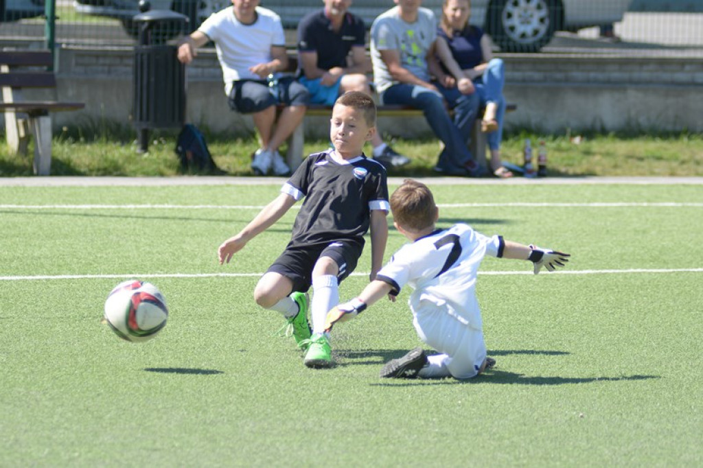 Rodzinny piknik w Grodkowie 