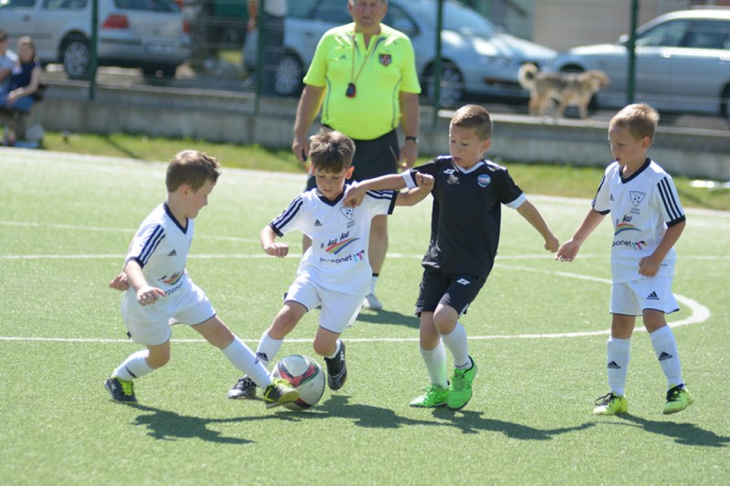 Rodzinny piknik w Grodkowie 