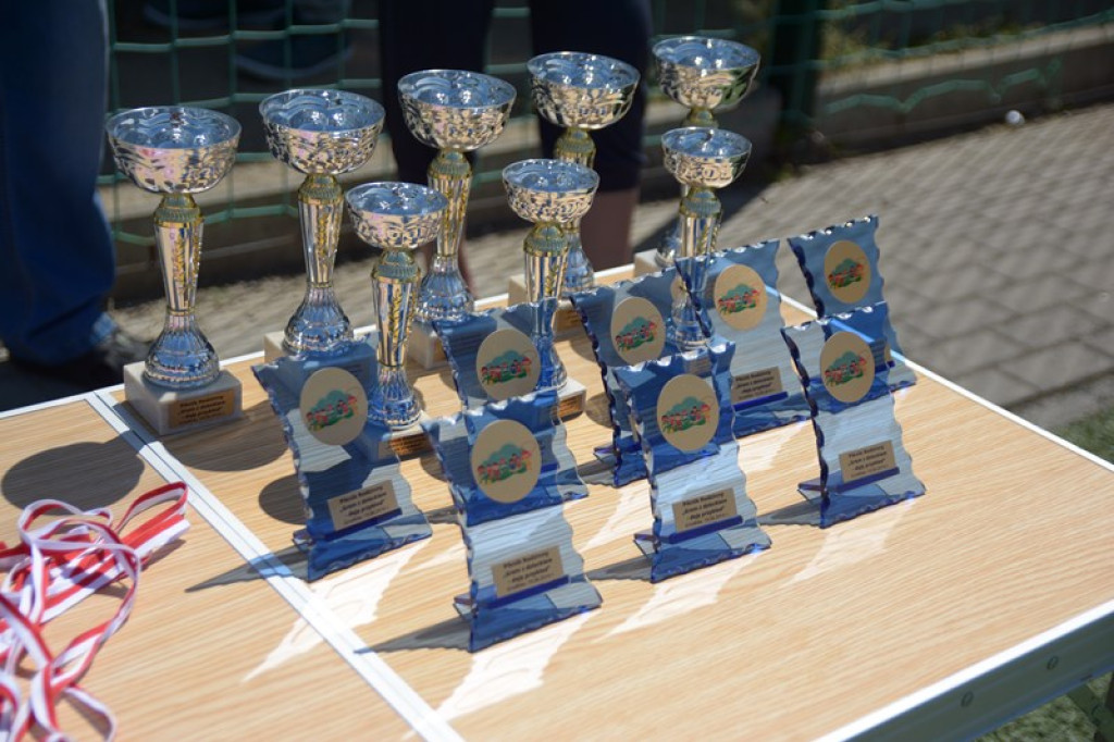 Rodzinny piknik w Grodkowie 