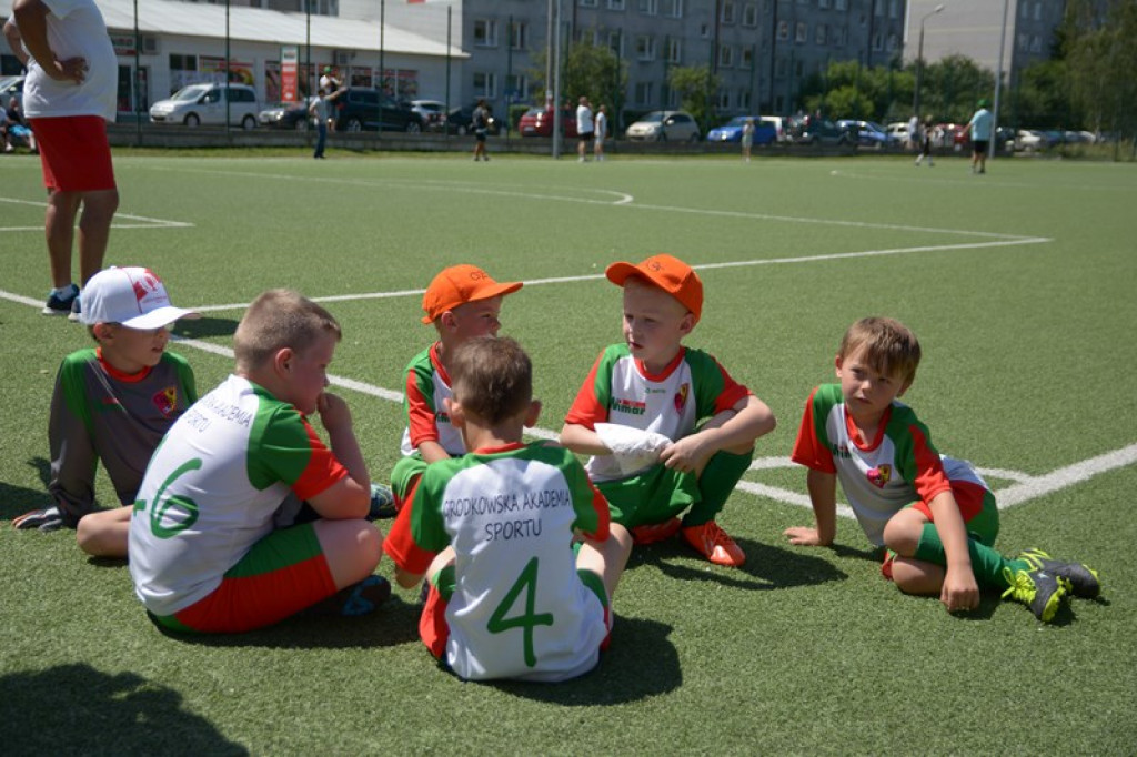 Rodzinny piknik w Grodkowie 