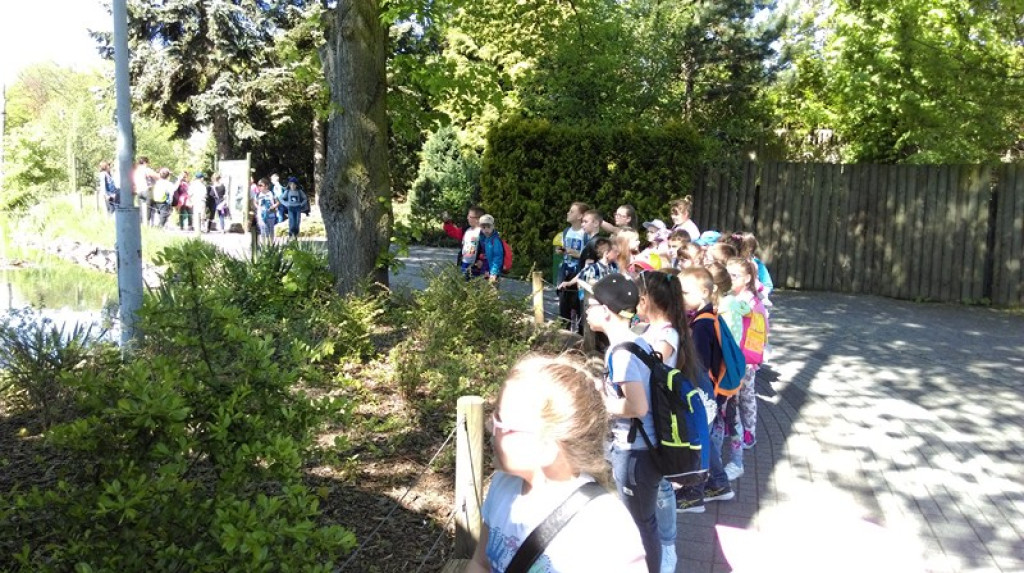 Dzieci z Czepielowic z wizytą w ZOO