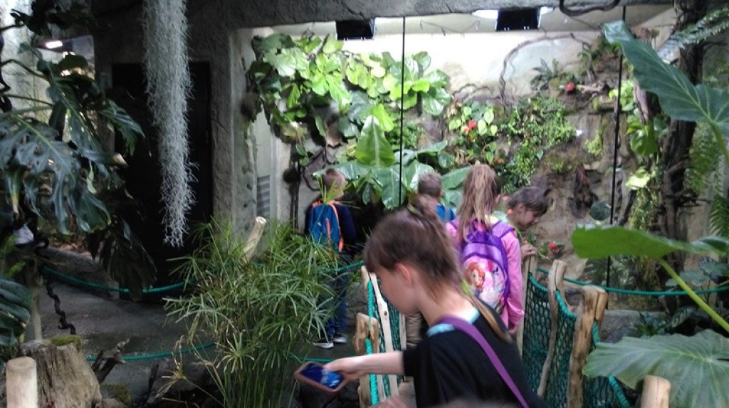 Dzieci z Czepielowic z wizytą w ZOO