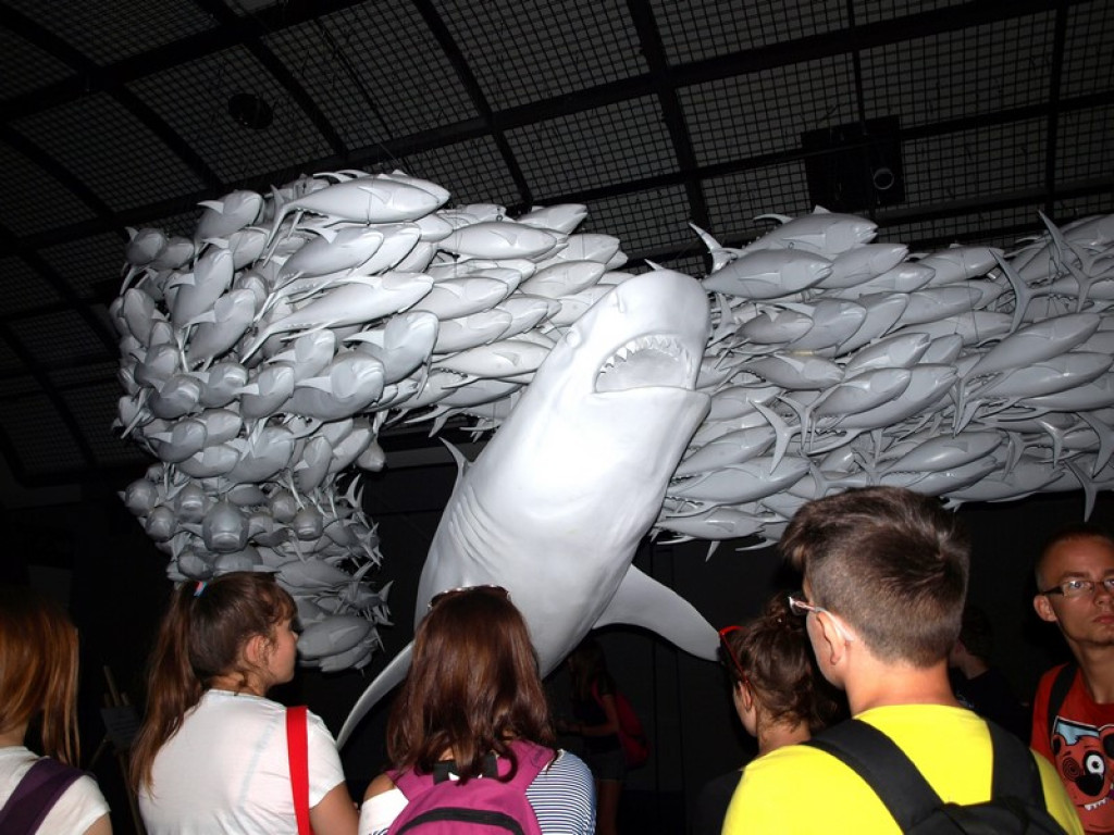 Wszystko zaczęło się od wody