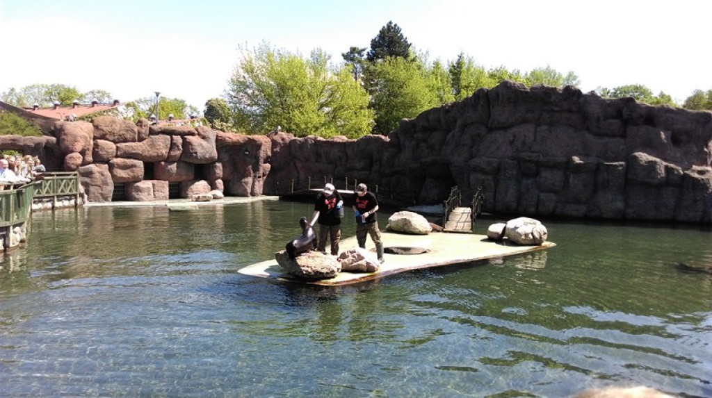 Dzieci z Czepielowic z wizytą w ZOO
