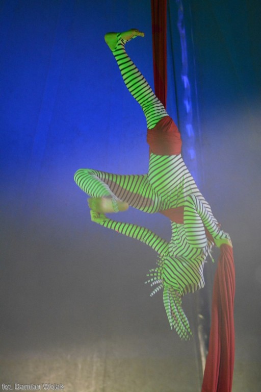 Występ Artystów z Cyrku Juremix [fotorelacja]