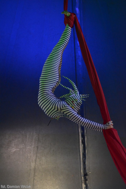 Występ Artystów z Cyrku Juremix [fotorelacja]