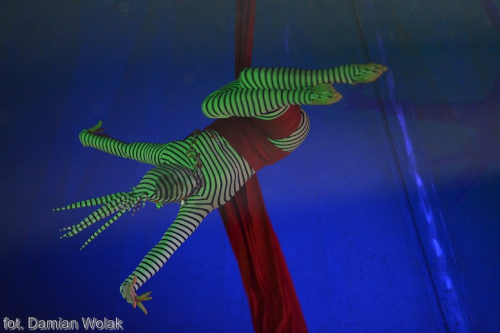 Występ Artystów z Cyrku Juremix [fotorelacja]