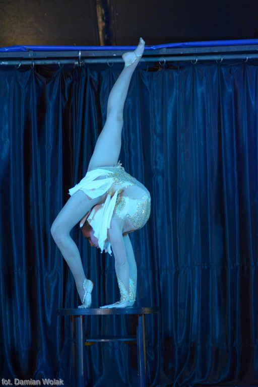 Występ Artystów z Cyrku Juremix [fotorelacja]