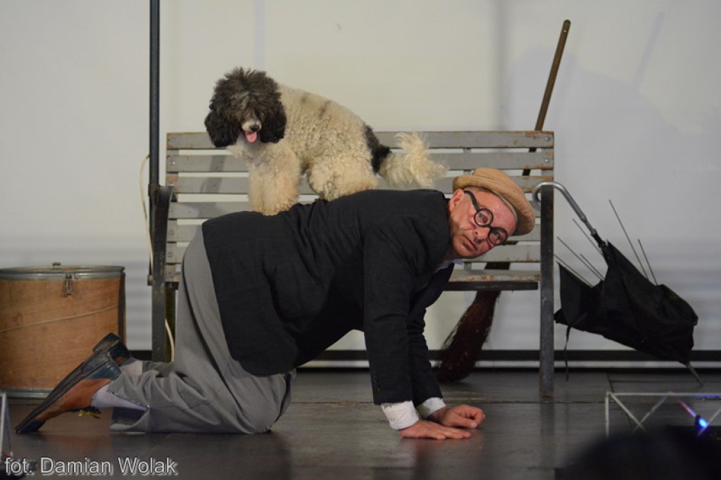 Występ Artystów z Cyrku Juremix [fotorelacja]