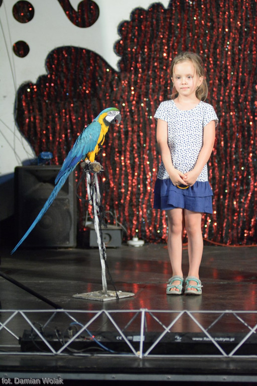 Występ Artystów z Cyrku Juremix [fotorelacja]