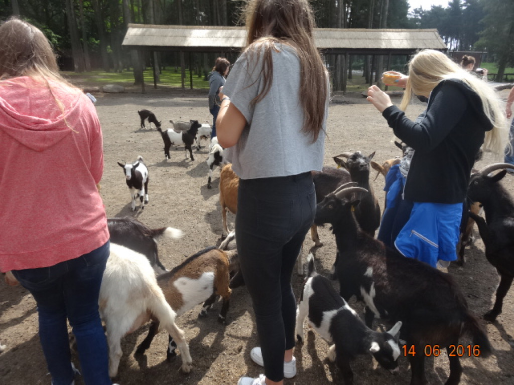 PODRÓŻE KSZTAŁCĄ - I LO W BRZEGU Z WIZYTĄ W NIEMCZECH